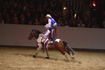 Bild 32 - Hansepferd Gala am 18.4.10